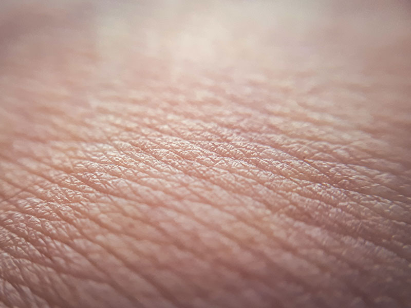 haut_800x600px